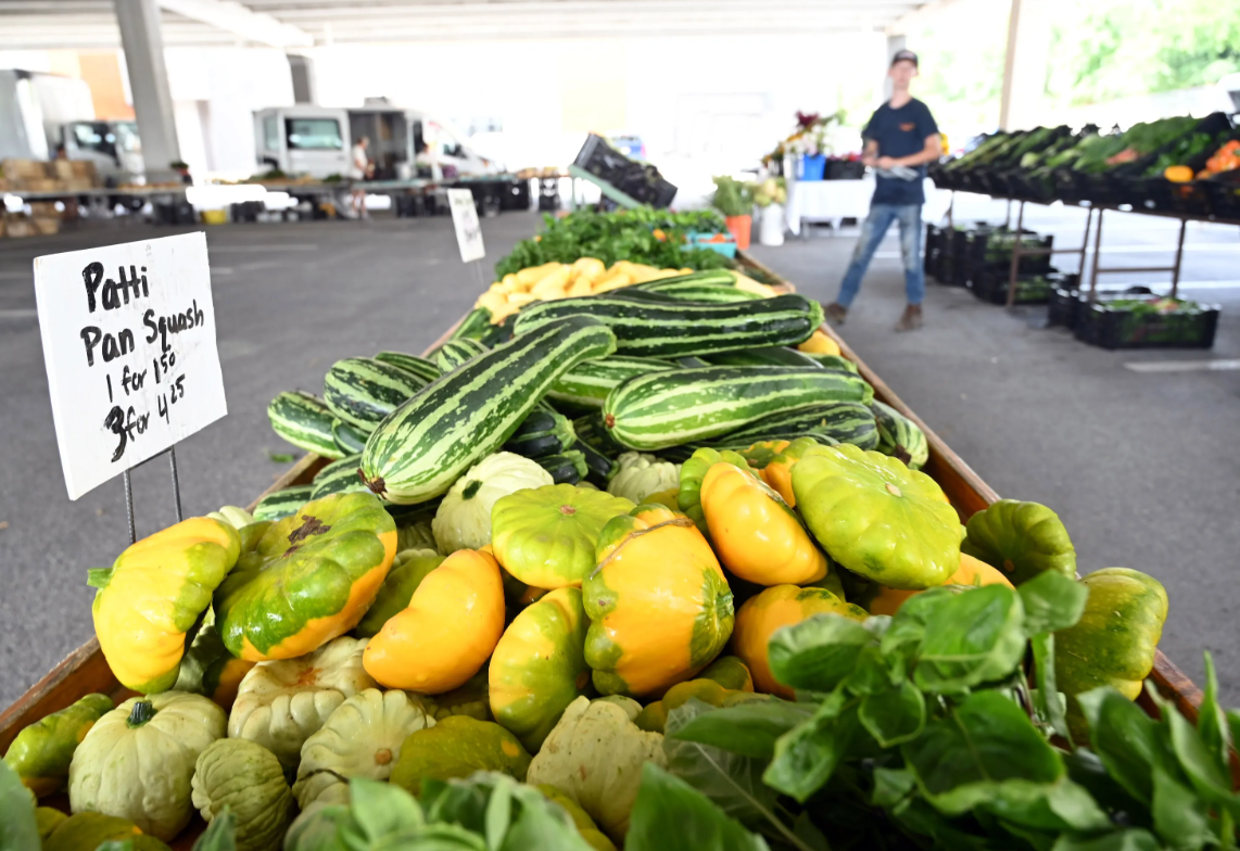 A row of various types of squash in a box on a table at the Kenilworth Farmers Market.
