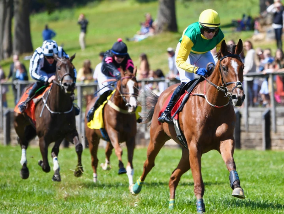 The Legacy Chase at Shawan Downs