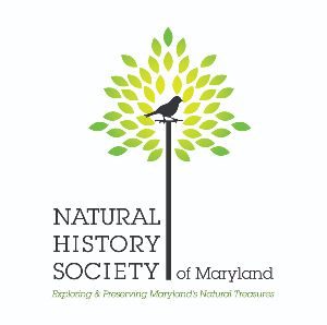 Natural History Society of Maryland