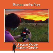 Pictures in the Park