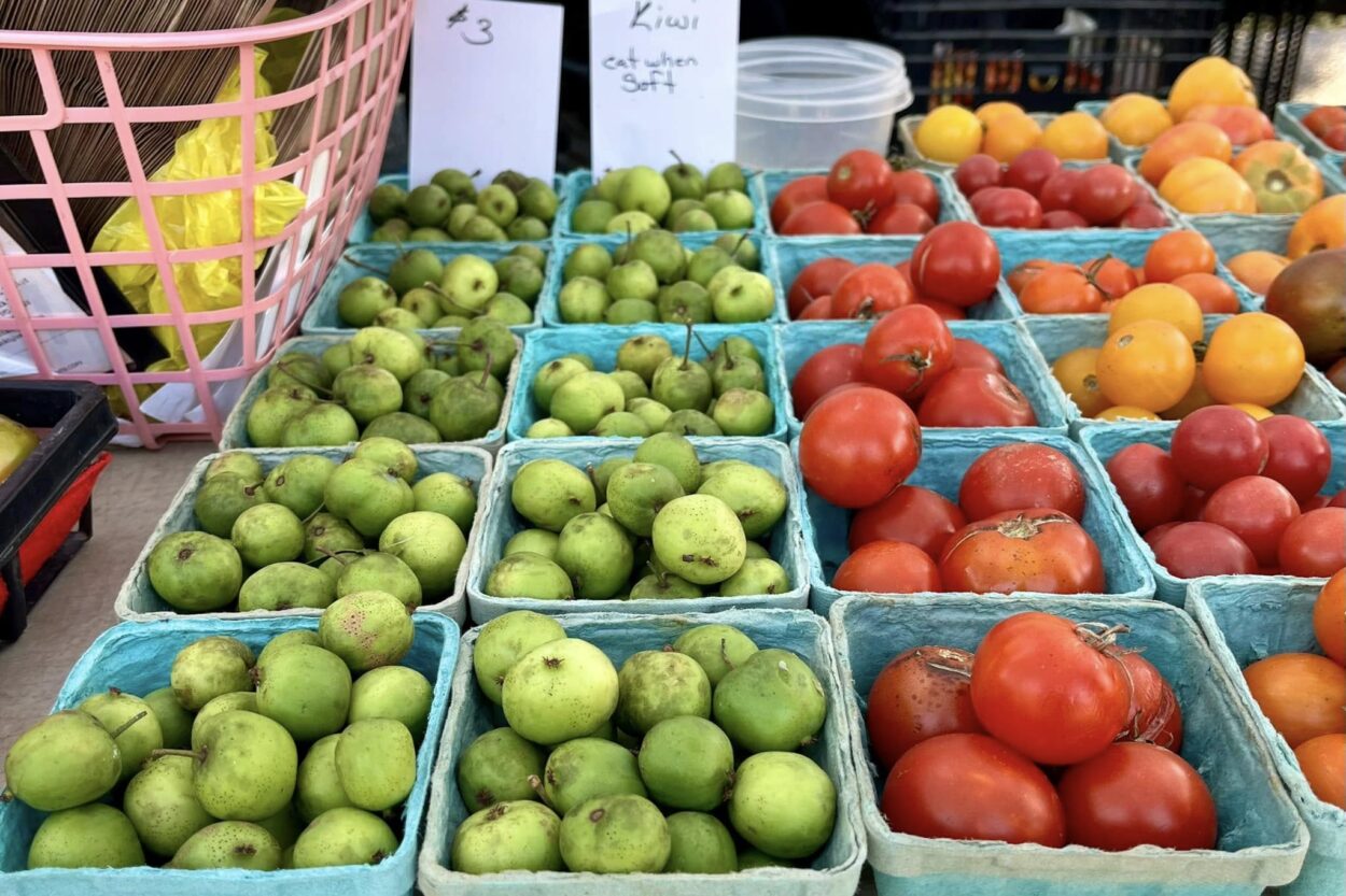 Various fruits and vegetables in cartons on a table with a stack of paper bags in the back at the Catonsville Farmers Market.