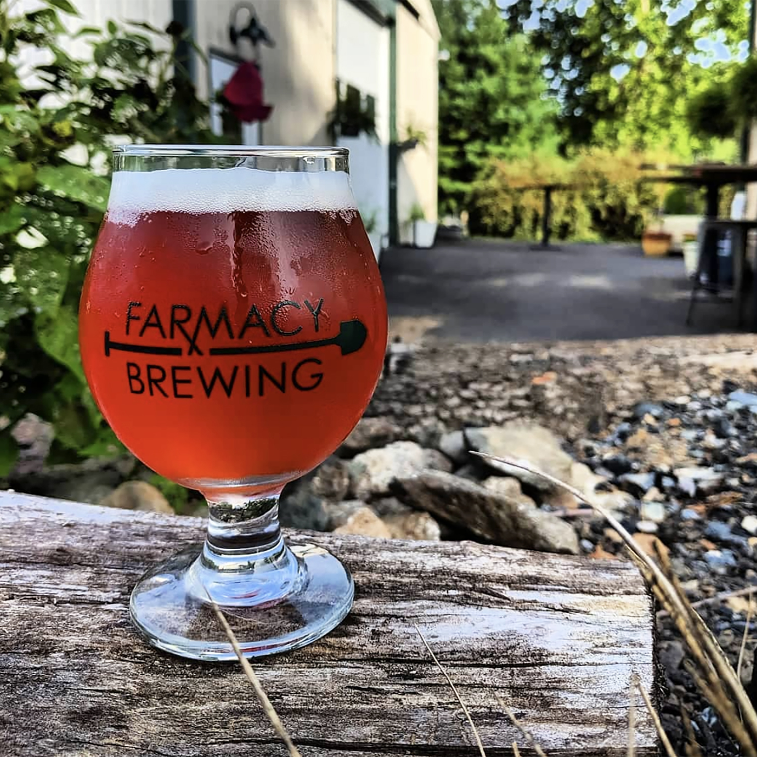 Red ale in a Farmacy Brewing glass sitting on a log outside.