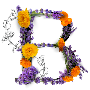 ButterFaye Organics