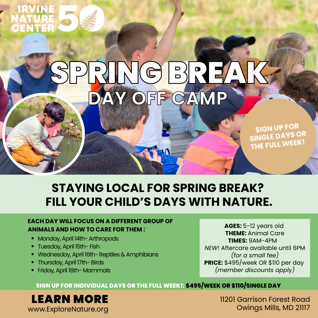 Spring Break Day Off Camp at Irvine Nature Center