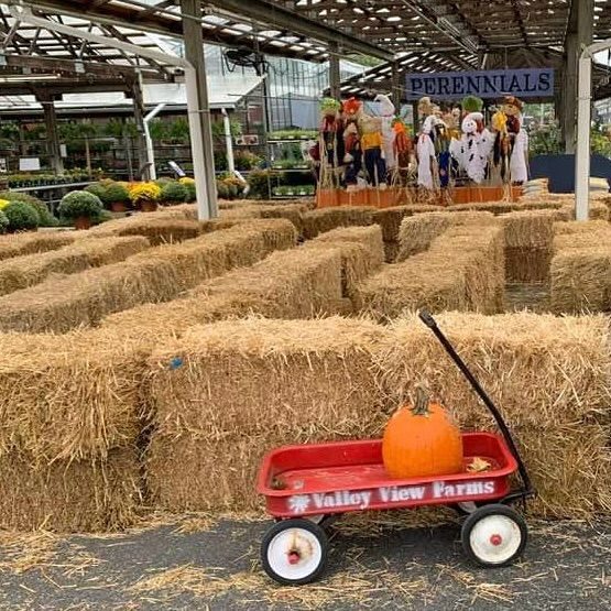 Children’s Straw Maze