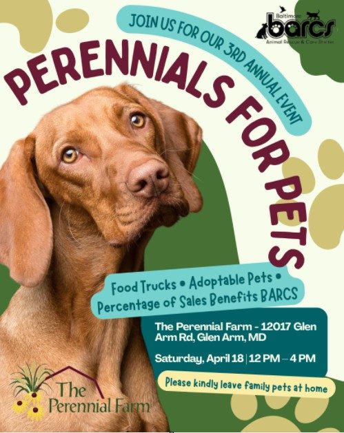 PERENNIALS FOR PETS