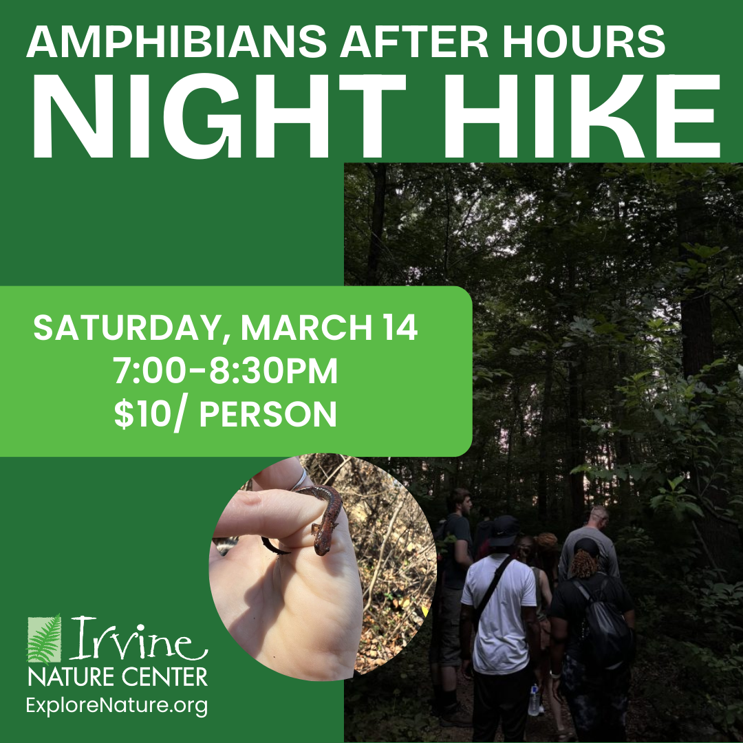 Amphibians After-Hours Night Hike at Irvine Nature Center