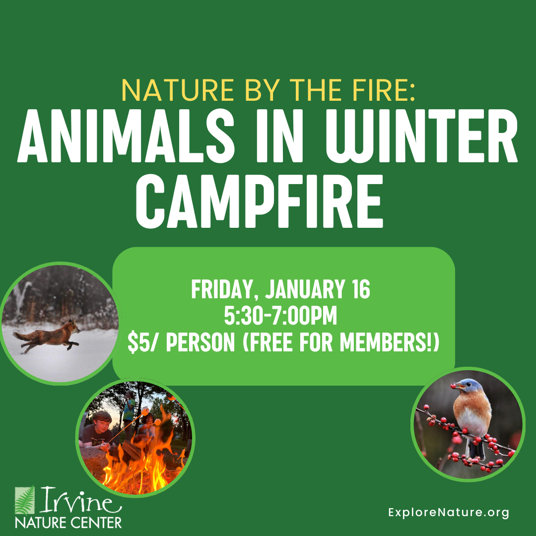Nature by the Fire: Animals in Winter Campfire at Irvine Nature Center