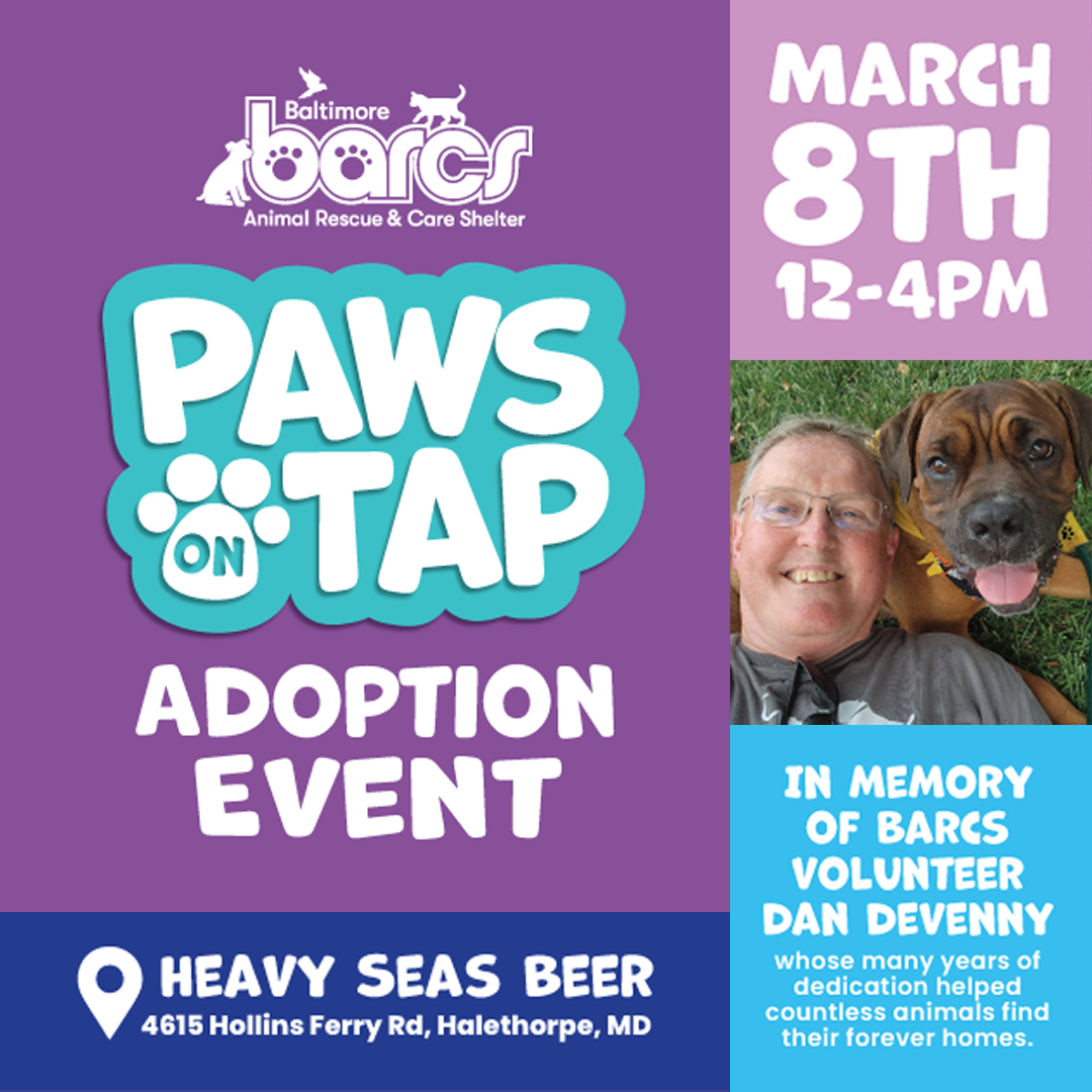 Paws on Tap: BARCS Adoption Event