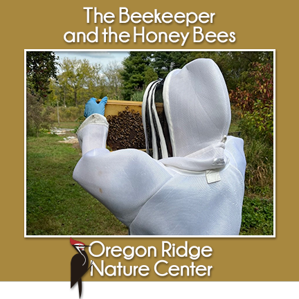 The Beekeeper and the Honey Bees