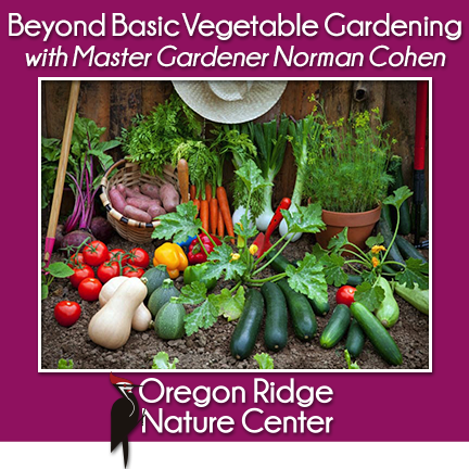 Beyond Basic Vegetable Gardening with Master Gardener Norman Cohen