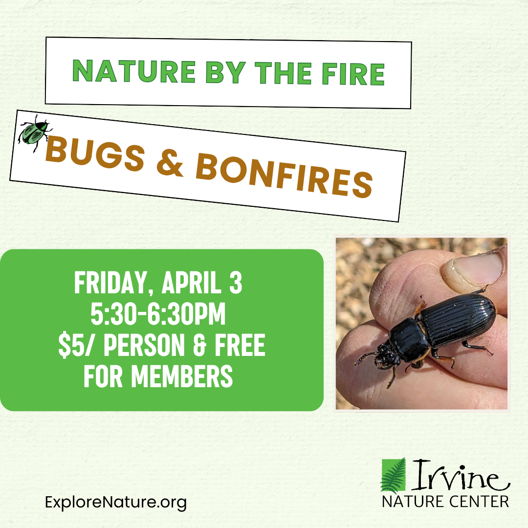 Nature by the Fire- Bugs and Bonfires at Irvine Nature Center