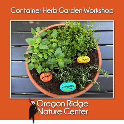 Container Herb Garden Workshop