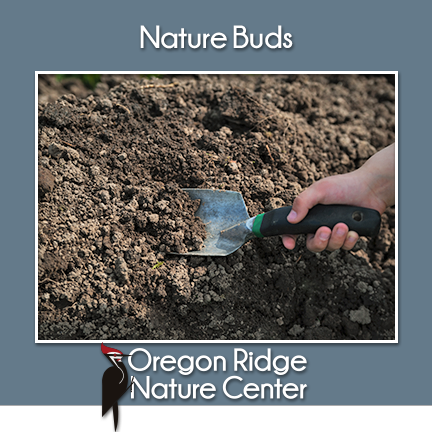 Nature Buds – Dirt
