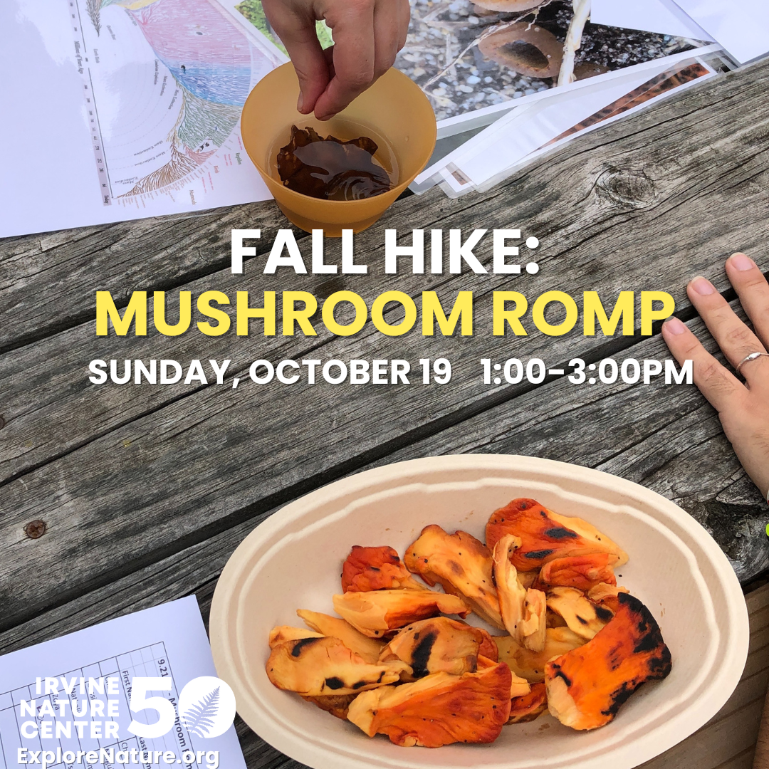 Fall Hike: Mushroom Romp at Irvine Nature Center