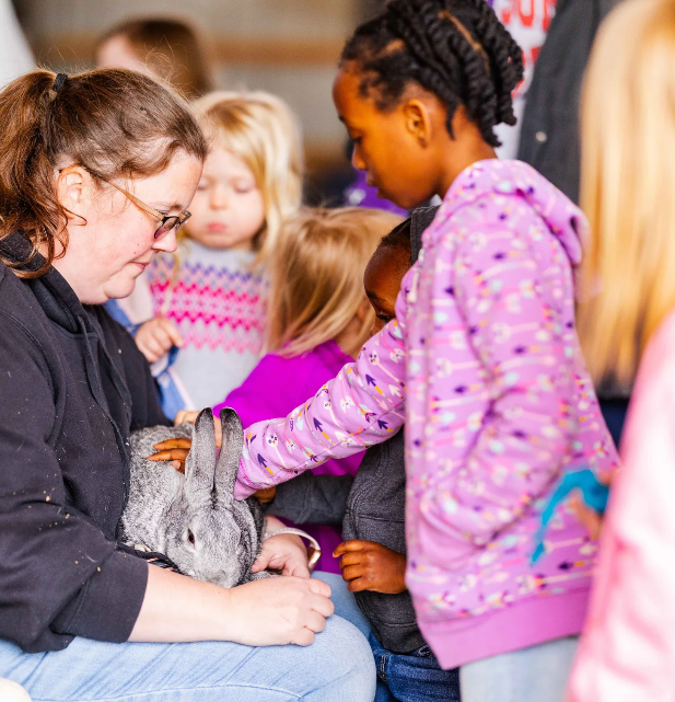 Bunny Encounter at The Farmyard
