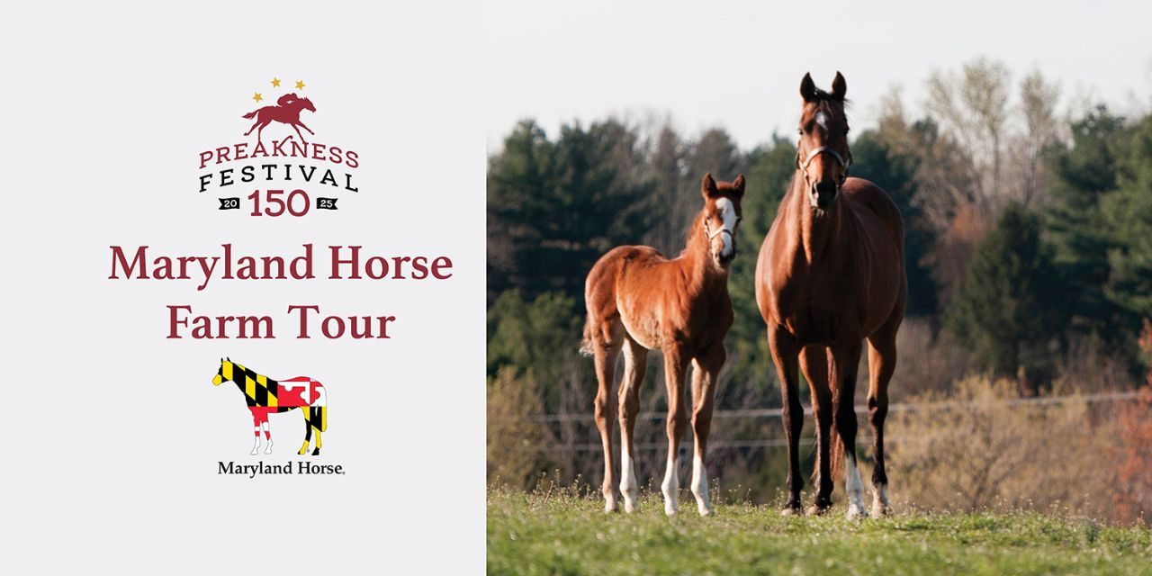Maryland Horse Farm Tour – Celebrating Preakness Festival #150