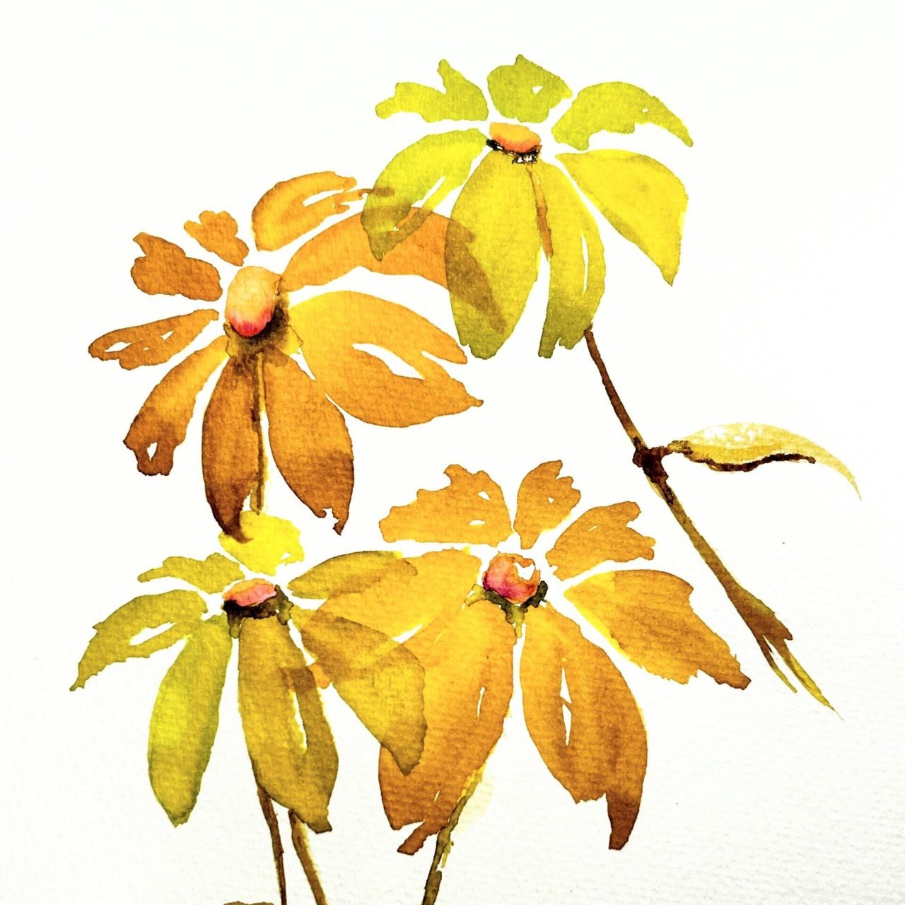 Watercolor with Kas Rohm: Embracing Transparency