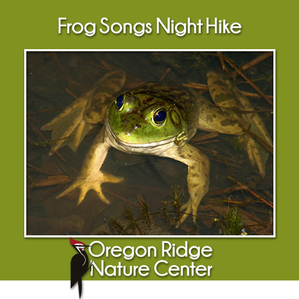Frog Songs Night Hike