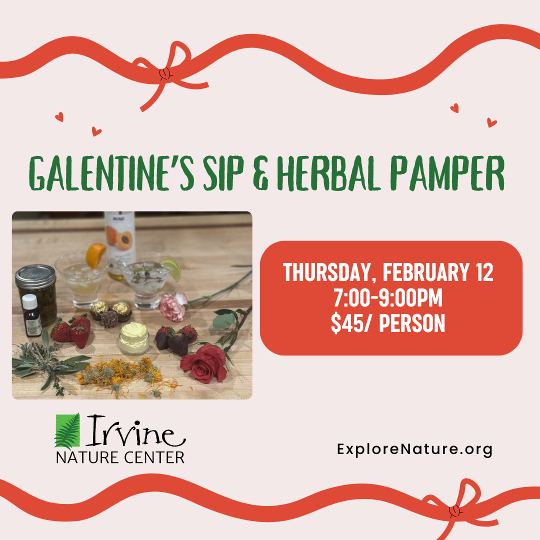Galentine’s Sip & Herbal Pamper at Irvine Nature Center