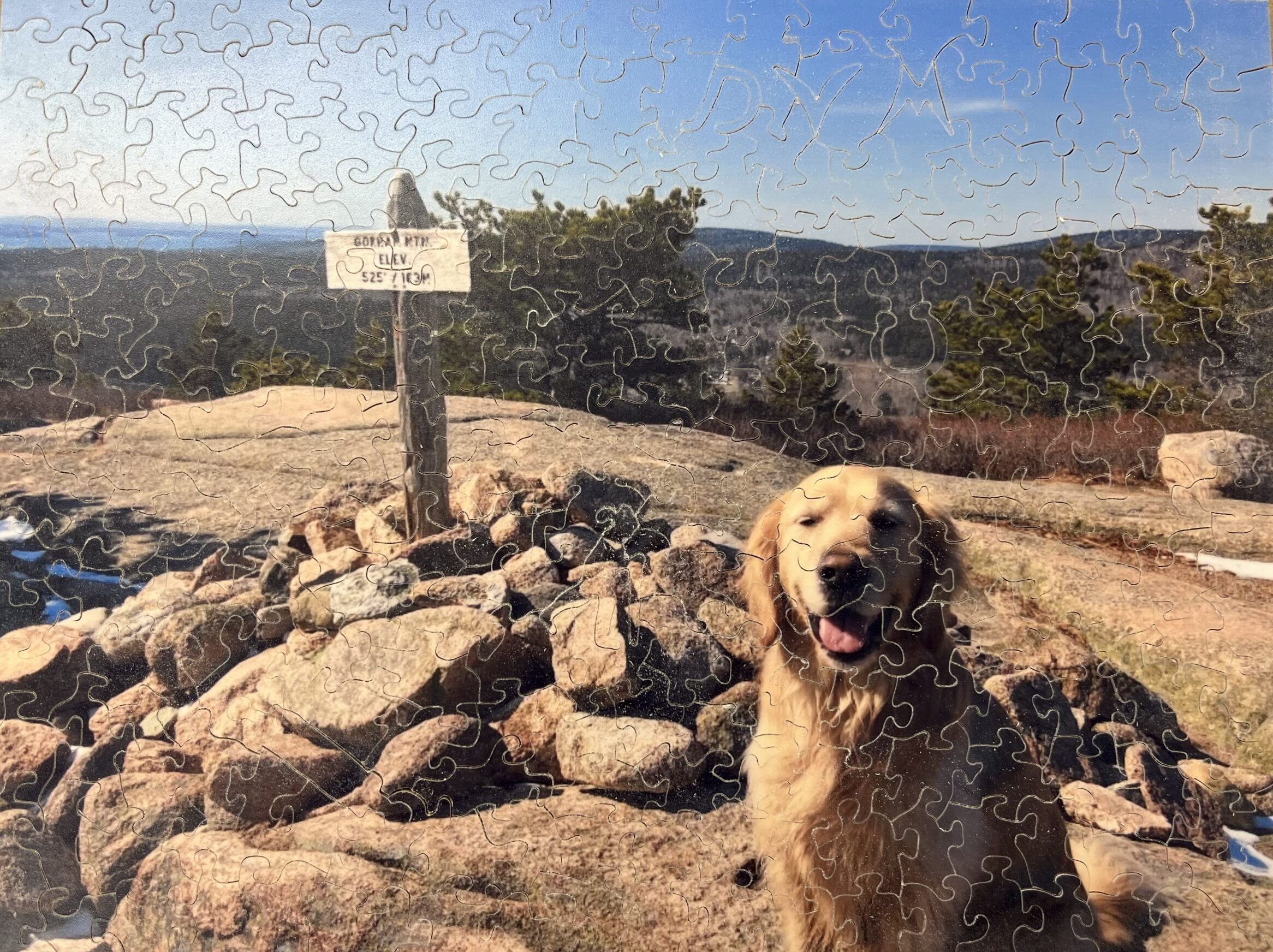 Create your own Wooden Jigsaw Puzzle with Tavi Harwood