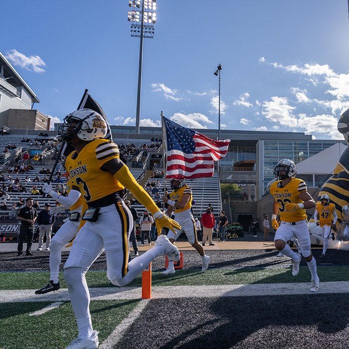 Towson Tigers vs. Stony Brook Seawolves Football
