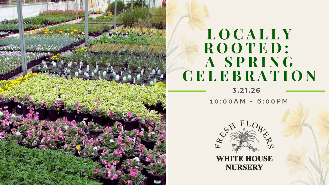 Locally Rooted: A Spring Celebration