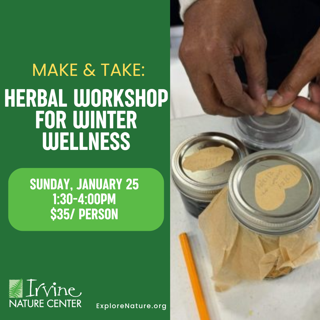Make & Take: Herbal Workshop for Winter Wellness at Irvine Nature Center
