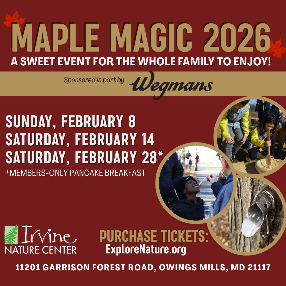 Maple Magic 2026 at Irvine Nature Center