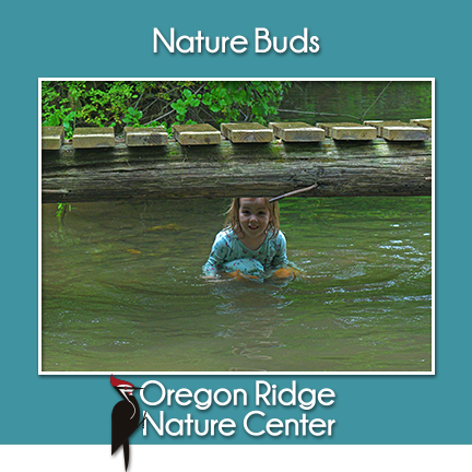Nature Buds – Streams