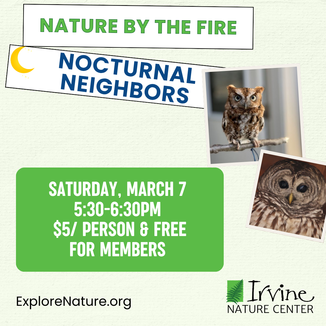 Nature by the Fire- Nocturnal Neighbors