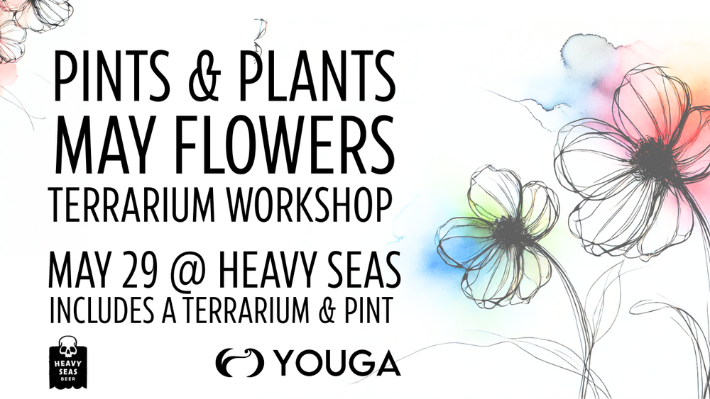 Pints & Plants at Heavy Seas Beer