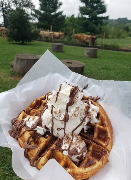Prigel Family Creamery: Ice Cream for Breakfast Day