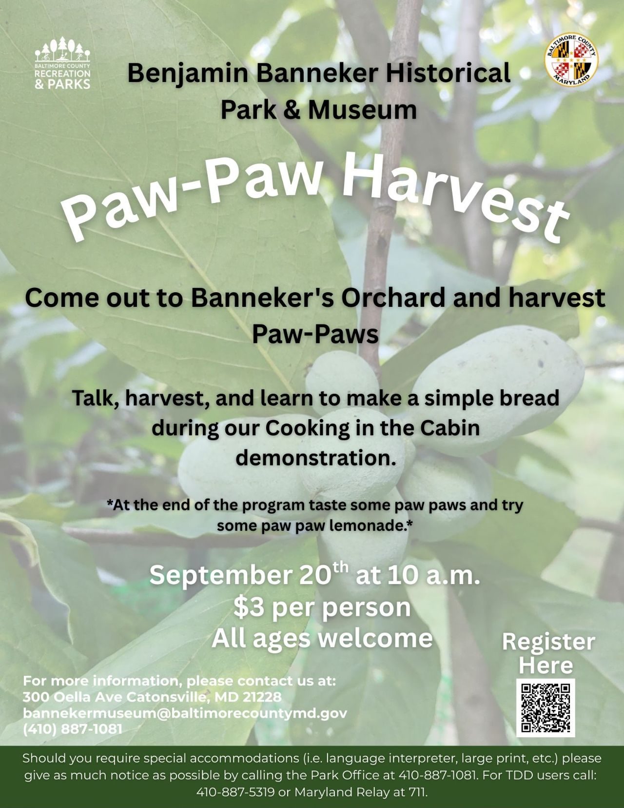 Paw-Paw Harvest