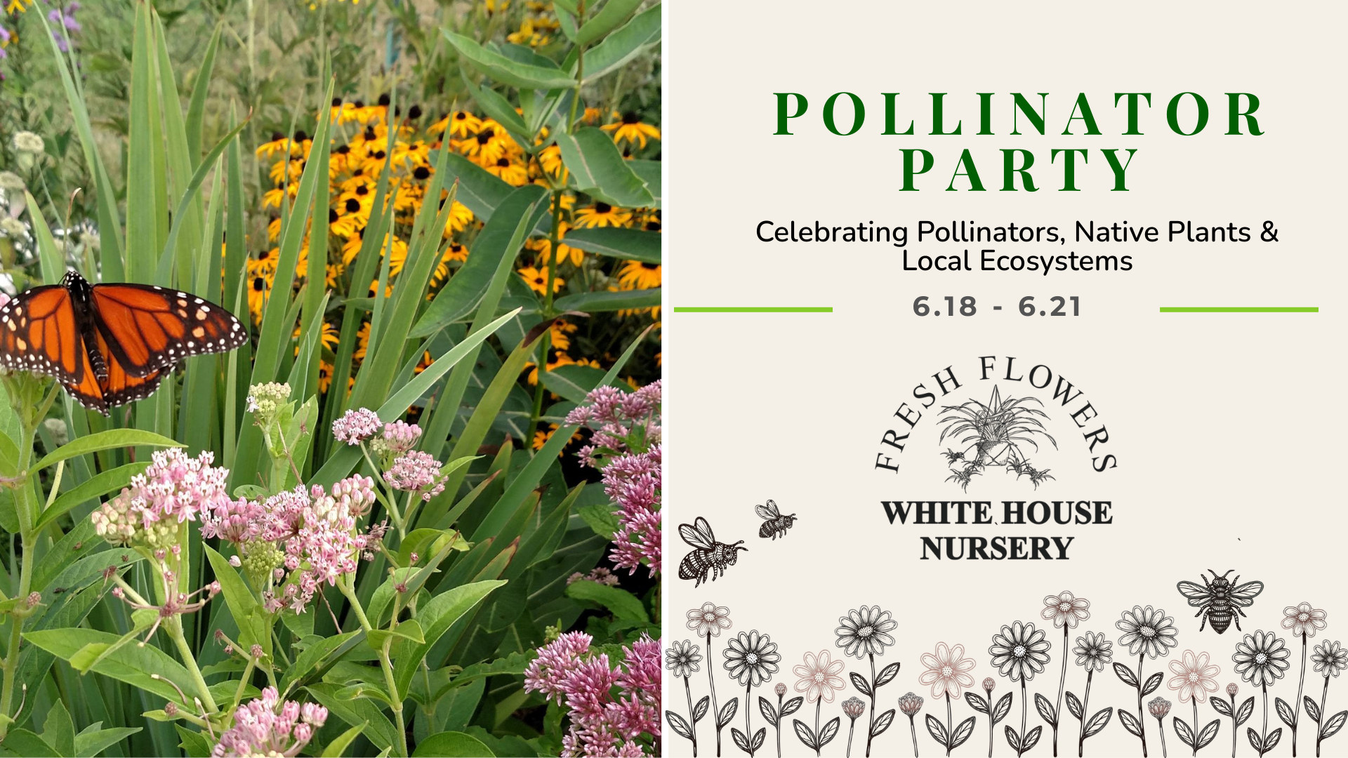 Pollinator Party: Celebrating Pollinators, Native Plants & Local Ecosystems