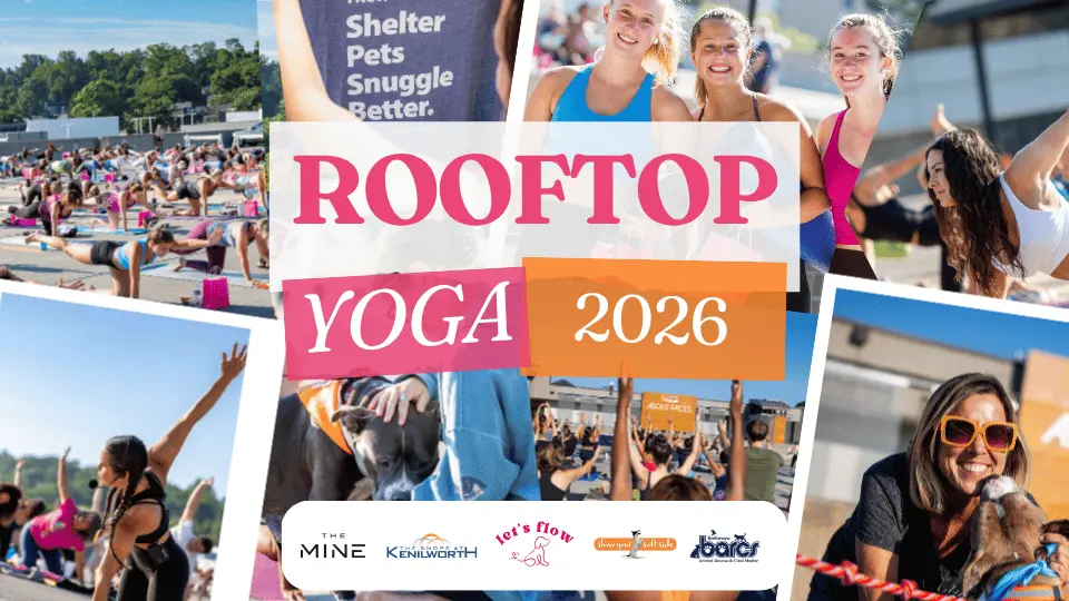 Rooftop Yoga
