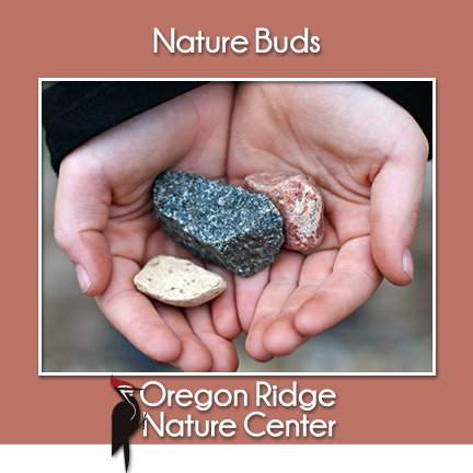 Nature Buds – Rocks