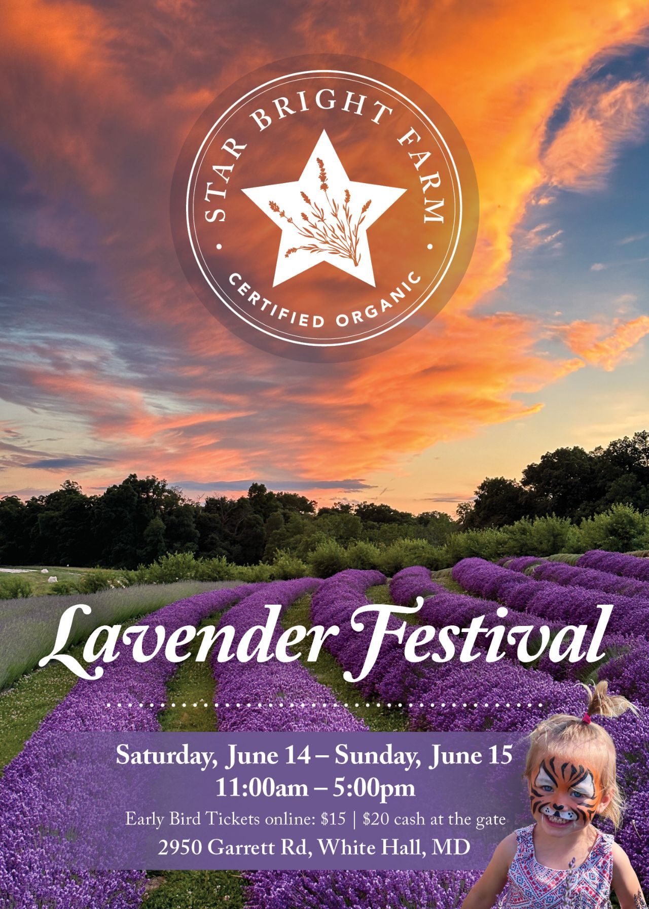 Lavender Festival