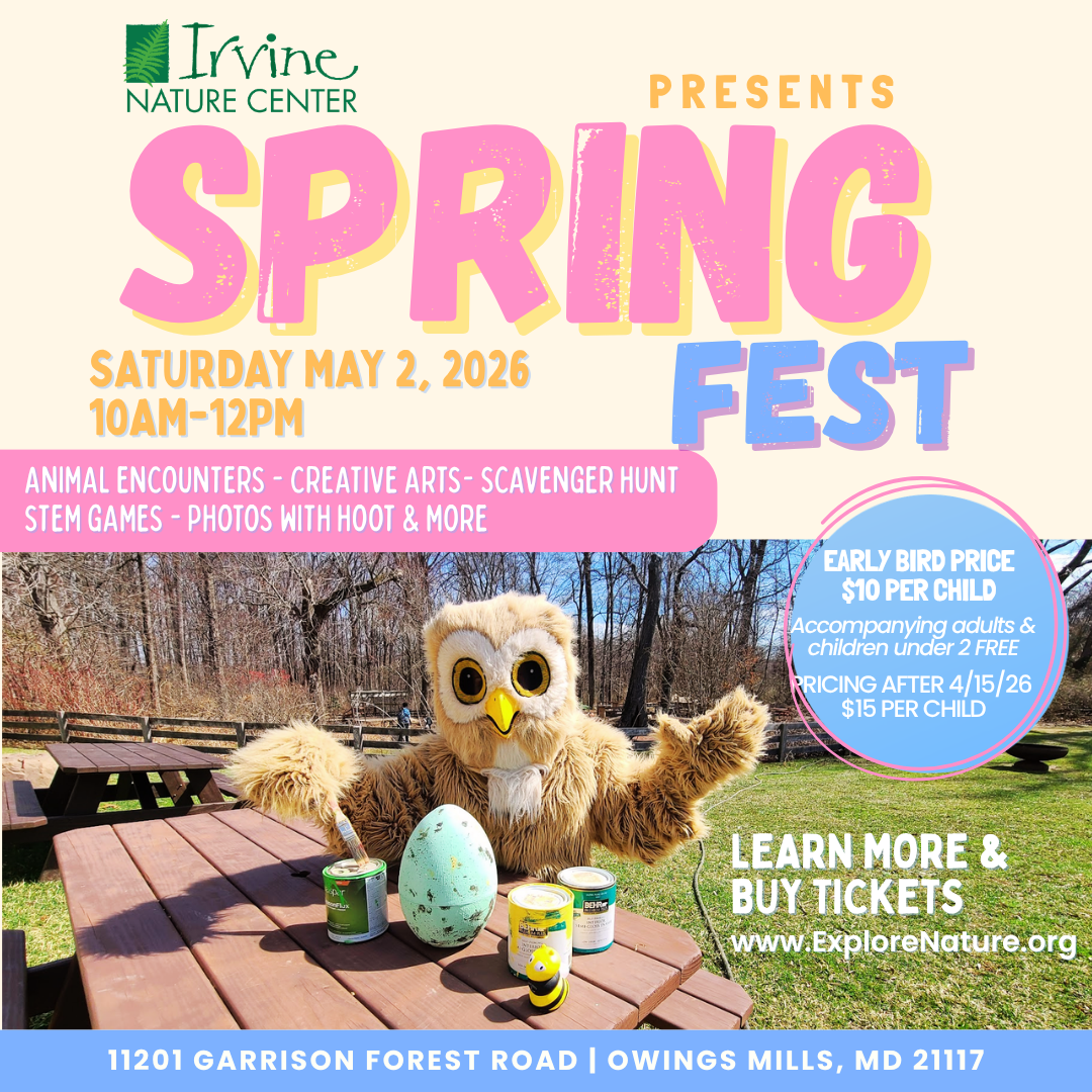 SPRINGFEST 2026