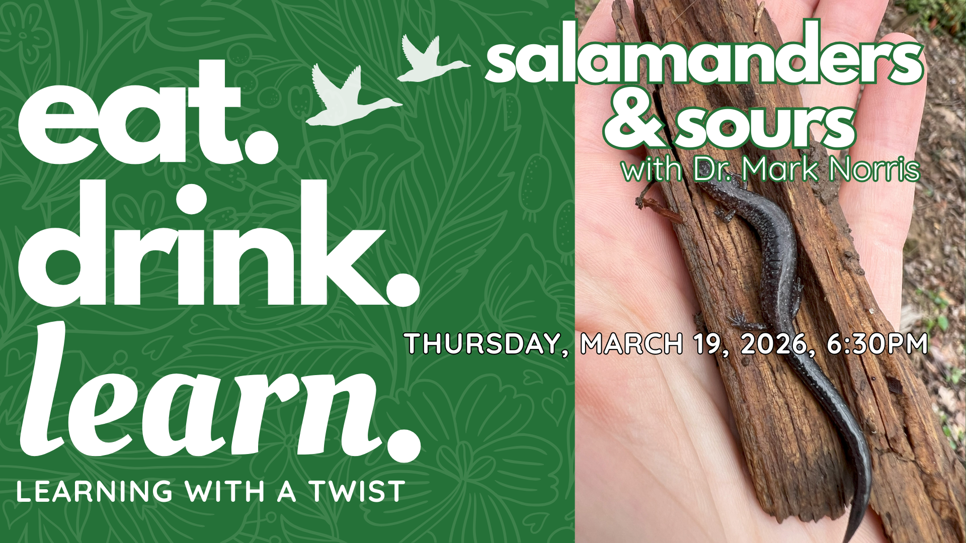 Eat, Drink & Learn: Salamanders & Sours at Irvine Nature Center
