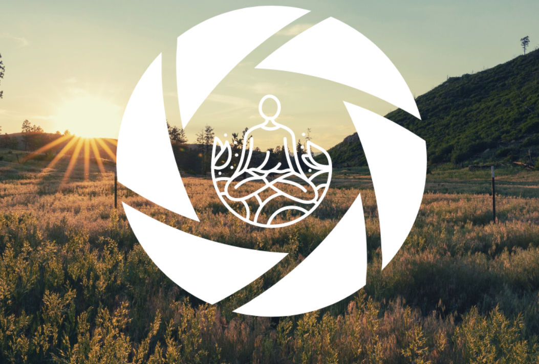 Capturing Serenity: A Nature Photography, Mindfulness, and Wellbeing Retreat