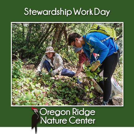 Stewardship Work Day