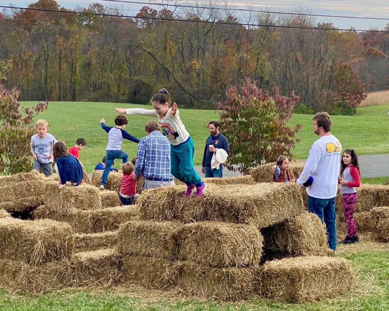 Star Bright Farm Family Fall Festival