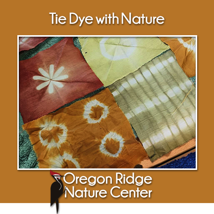 Tie Dye with Nature