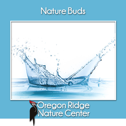 Nature Buds – Water