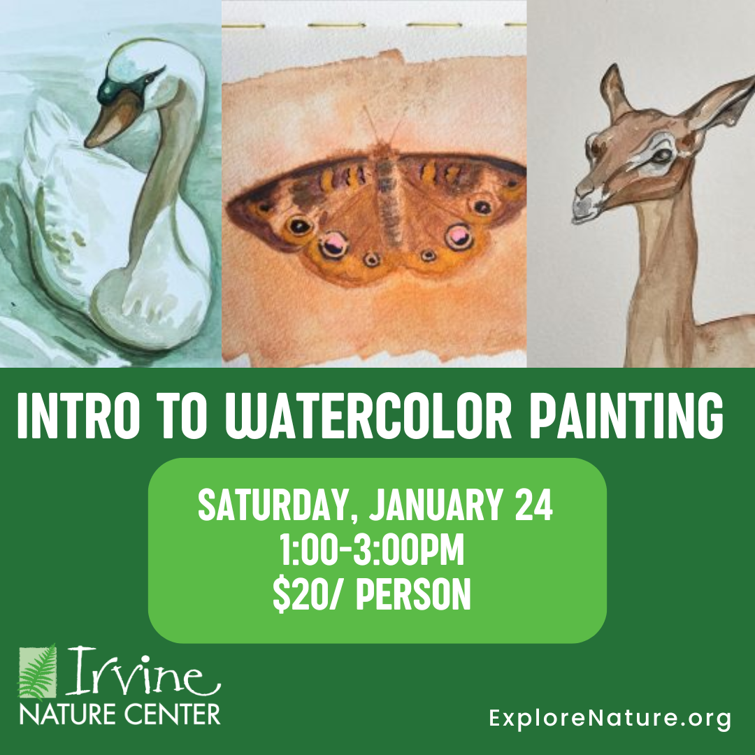 Intro to Watercolor Painting at Irvine Nature Center