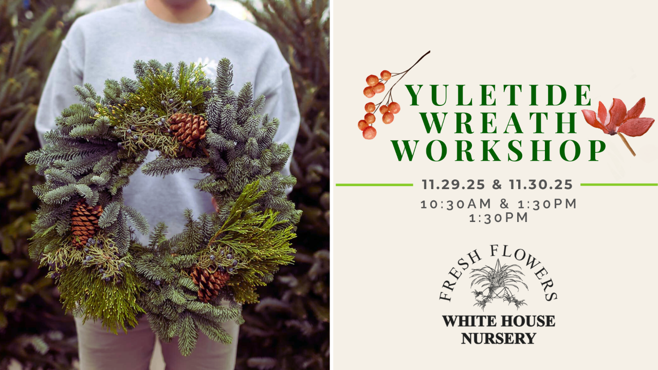 Yuletide Wreath Workshop