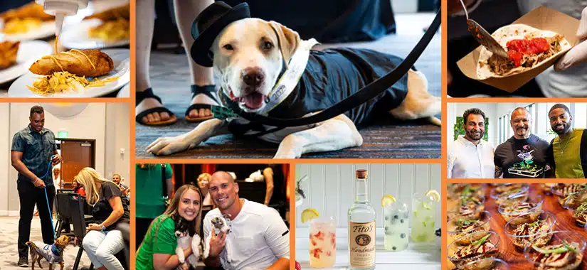 Show Your Soft Side Presents “Softie Homecoming” Fundraising Event