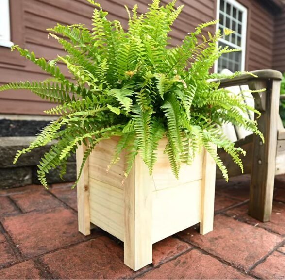 Beginner Woodworking: Planter