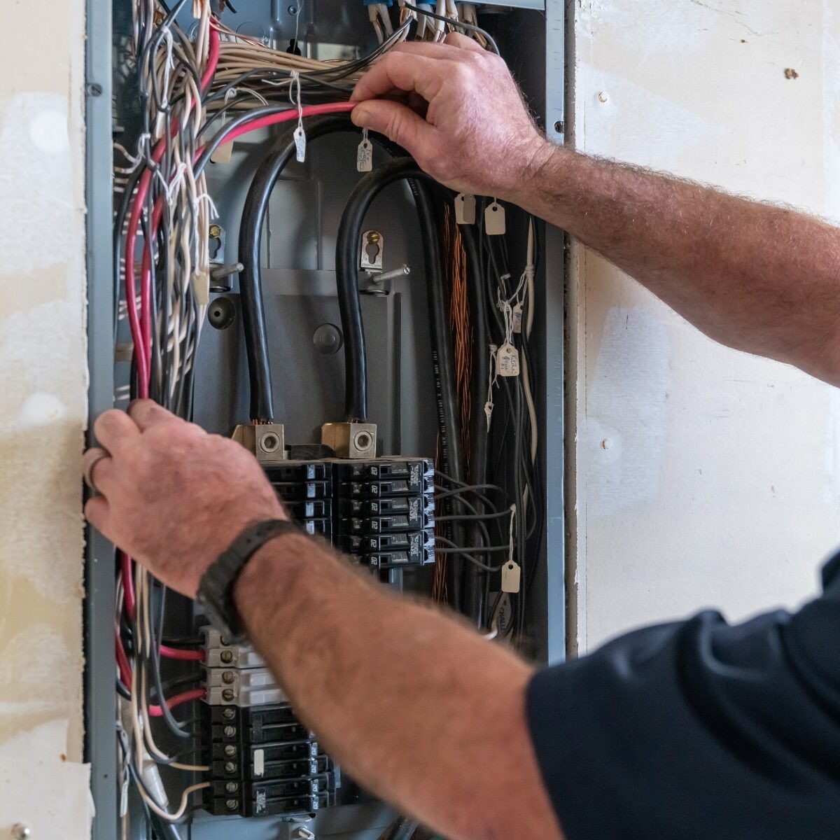 Electrical Essentials with Michael Guarraia